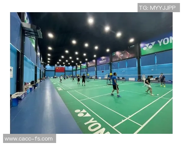 杨军专访：羽毛球生涯回顾与未来展望的深度对话