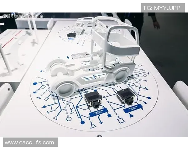 杭州羽毛球队转型之路的挑战与机遇全景揭秘